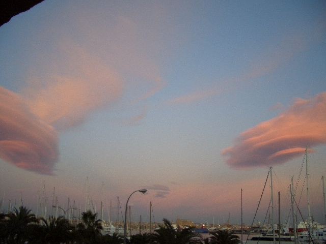 Puerto de Palma.JPG